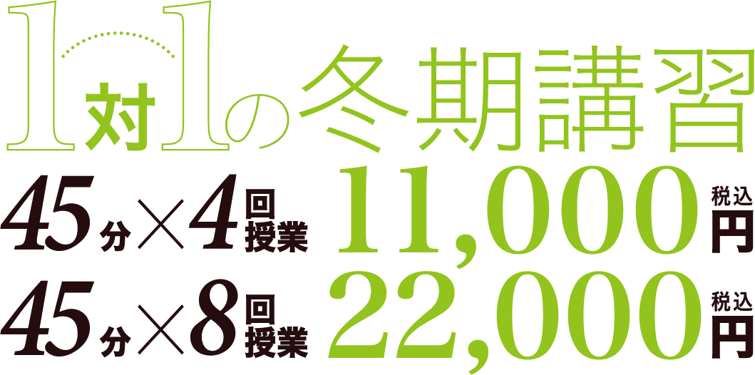 1対1体の冬期講習