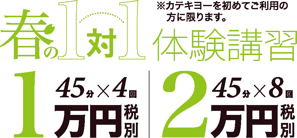 1対1体の春期講習
