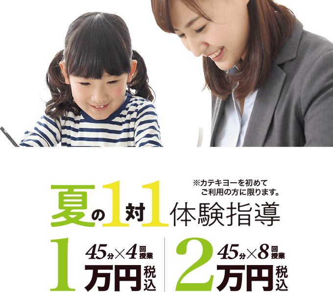 1対1体の夏期講習