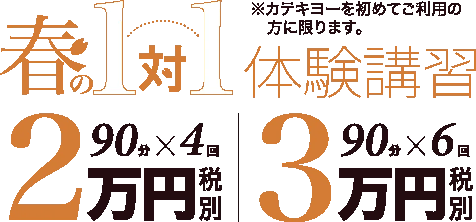 1対1体の春期講習