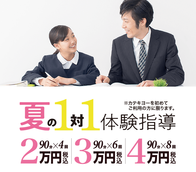 1対1体の夏期講習