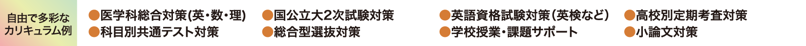 自由で多彩なカリキュラム例