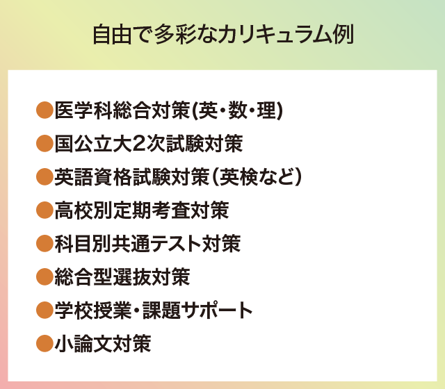 自由で多彩なカリキュラム例